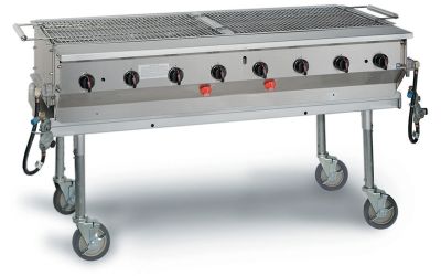 Superior Outdoor Gas Grill 60''W