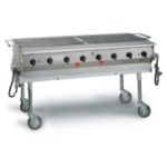 Superior Outdoor Gas Grill 60W