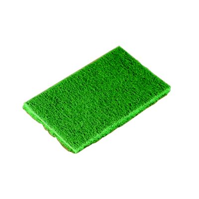 Scour Pad 6'' X 9'' Green Antimicrobial