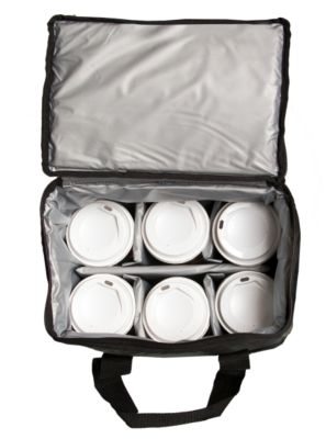 Insulated Delivery Bag for Beverage 4 - 2 liters, 4 - six packs, or 12 - 20 oz.