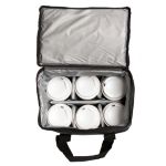 Insulated Delivery Bag for Beverage 4 - 2 liters, 4 - six packs, or 12 - 20 oz. - STOCKED ITEM