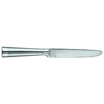 Stainless Handle Steak Knife 12 per case