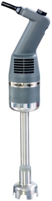 Mini Immersion Blender 12''
