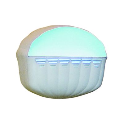Insect Inn 18-1/2''W x 6-3/4''D x 15-1/4''H