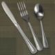 Next Day Gourmet Pebbles Flatware, Teaspoon 12 per case - STOCKED ITEM