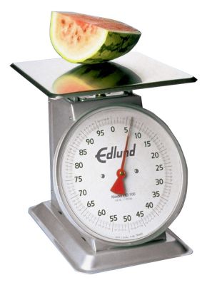 Heavy Duty Stainless Steel Platform Scale