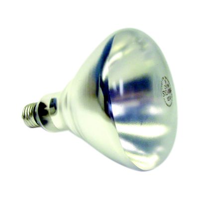 Shat-R-Shield Shatterproof Light Bulbs Infrared Heat Lamp, Clear, 2/Pk.