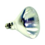 Shat-R-Shield Shatterproof Light Bulbs Infrared Heat Lamp, Clear, 2/Pk. - STOCKED ITEM