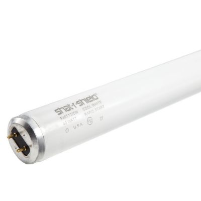 Flourescent Bulb