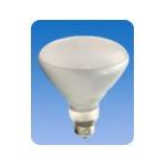 Flood Reflector 65W Light Bulb 12 per case - STOCKED ITEM