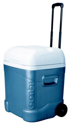 70 Quart Ice Cube Maxcold Roller