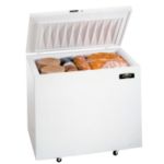 Arctic Air Commercial Chest Freezer 12.8 cu.ft. - STOCKED ITEM
