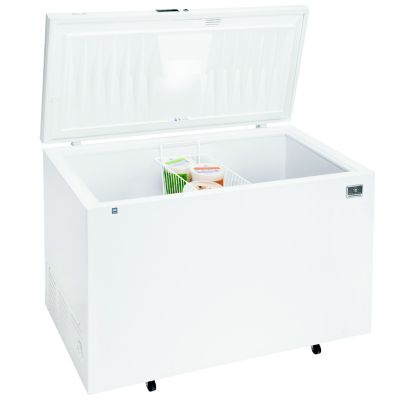 Chest Freezer 12.9 Cu. Ft. - STOCKED ITEM