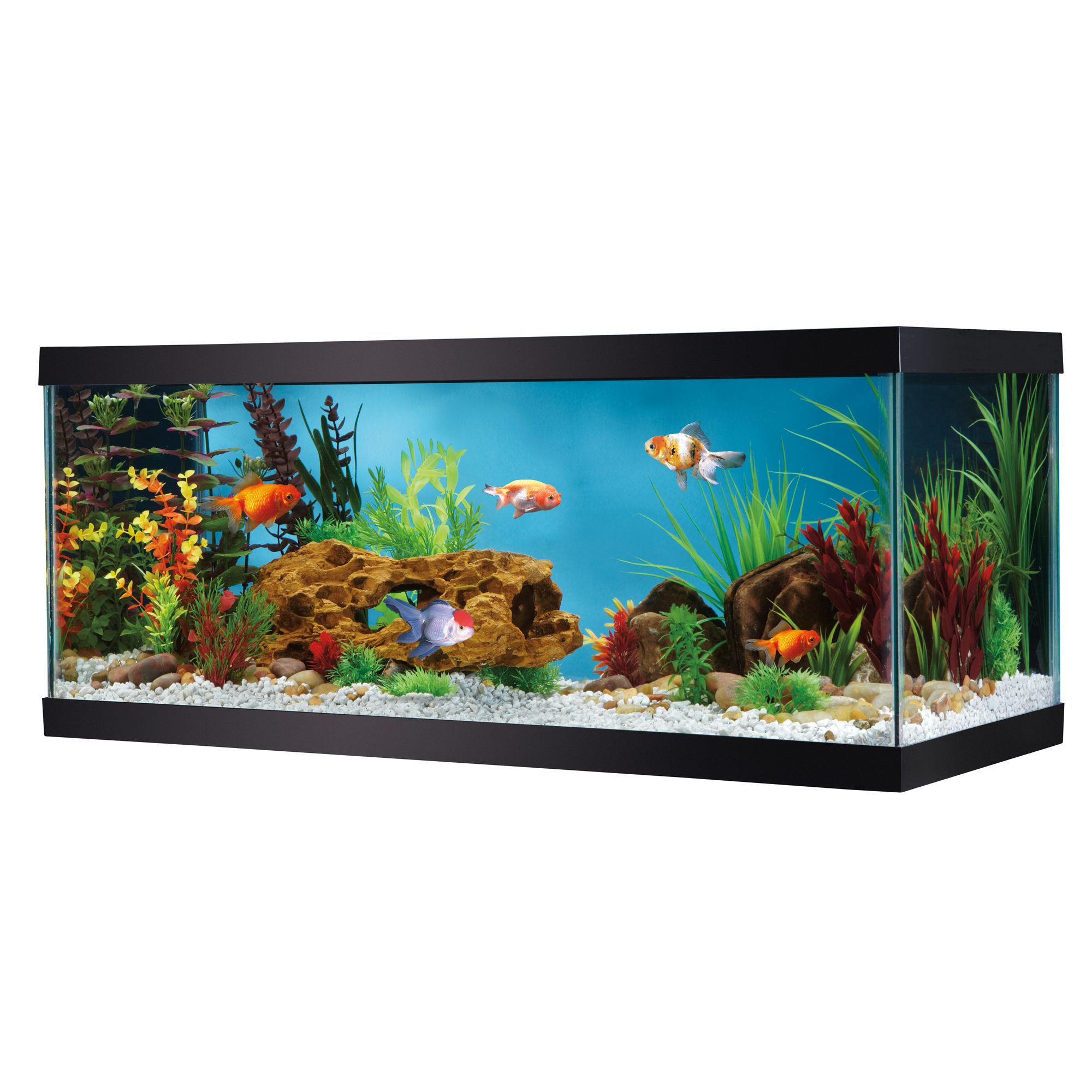 Grreat Choice® 20 Gallon Glass Aquarium 