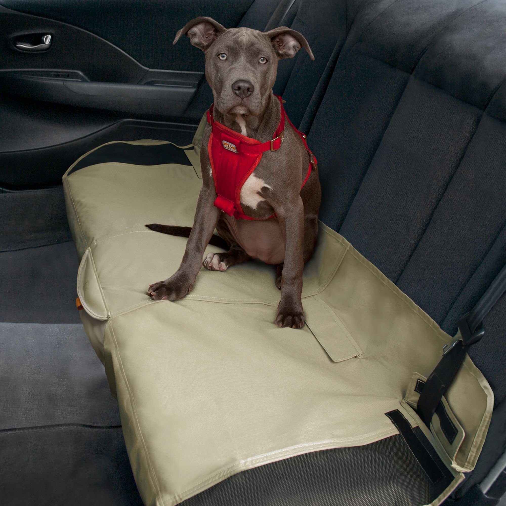 Dog car seat petsmart information