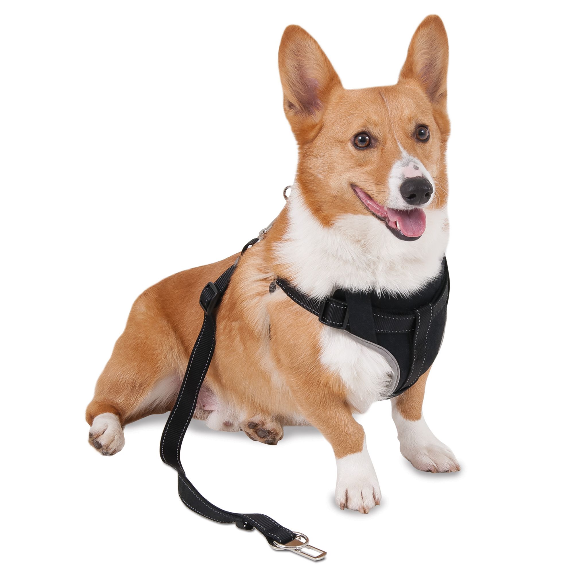 Petmate® Ultimate Travel Dog Harness & Leash dog Harnesses PetSmart