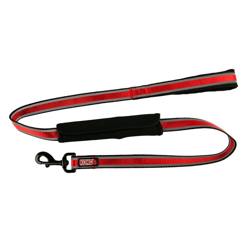 KONG® Reflective Dog Leash dog Leashes PetSmart