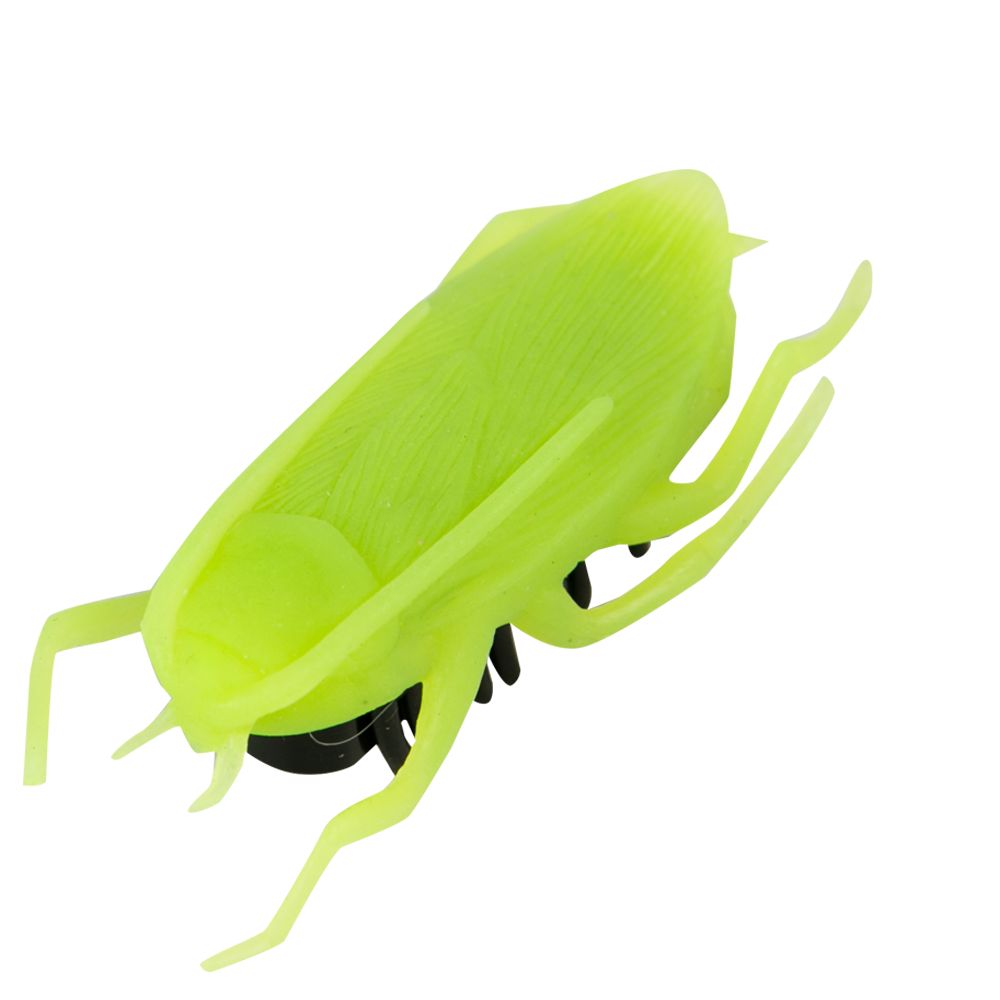 bug toy for cats