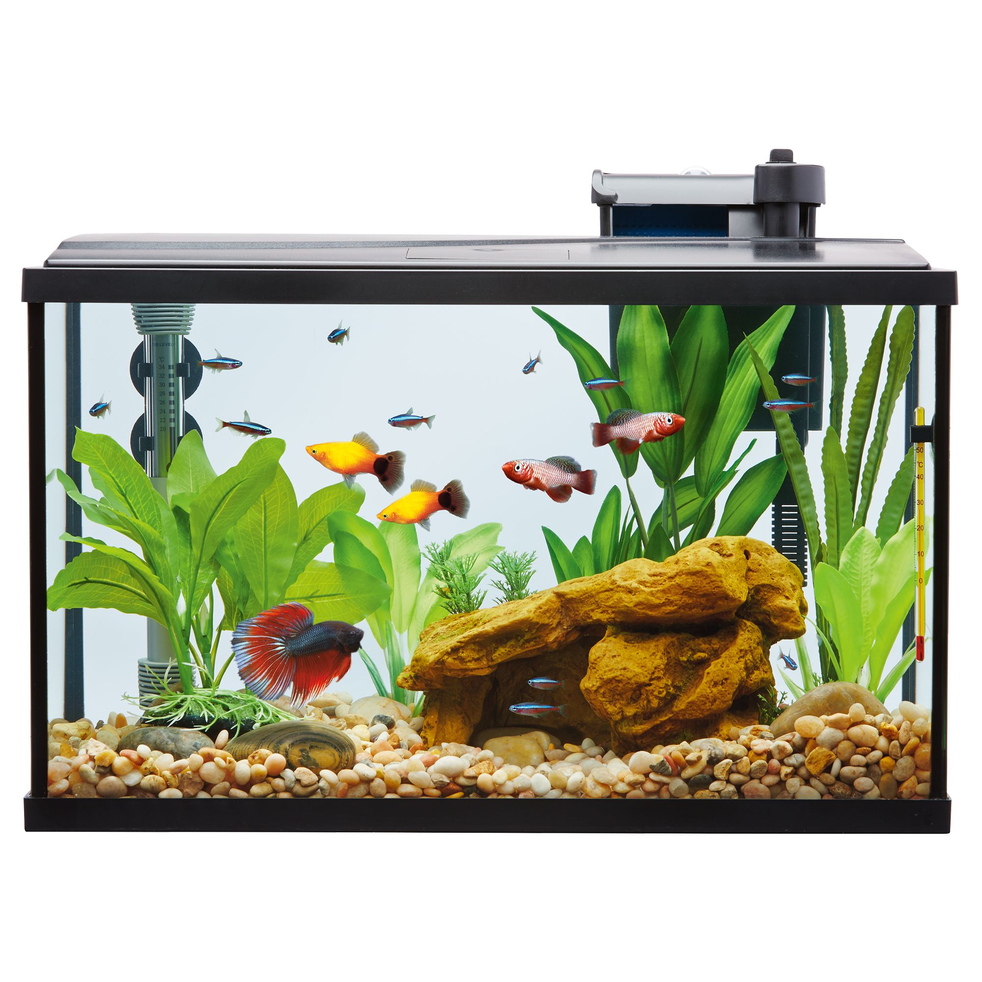 Top Fin&reg; Led Aquarium Starter Kit