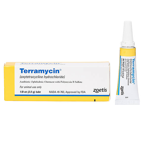 Terramycin Ointment dog RX Medication PetSmart
