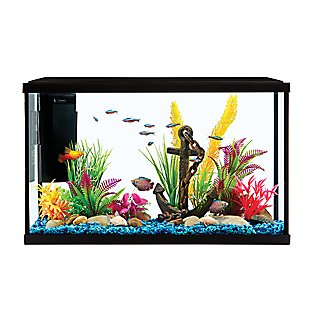 Decorate your fishes’ new home