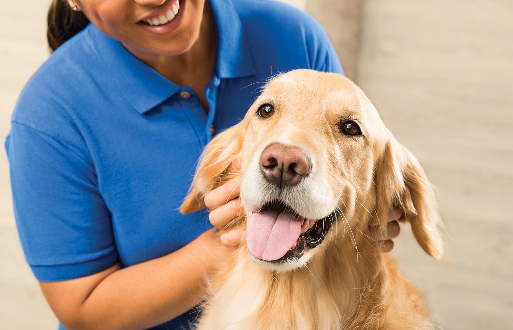 Dog Supplies Dog Products & Accessories PetSmart