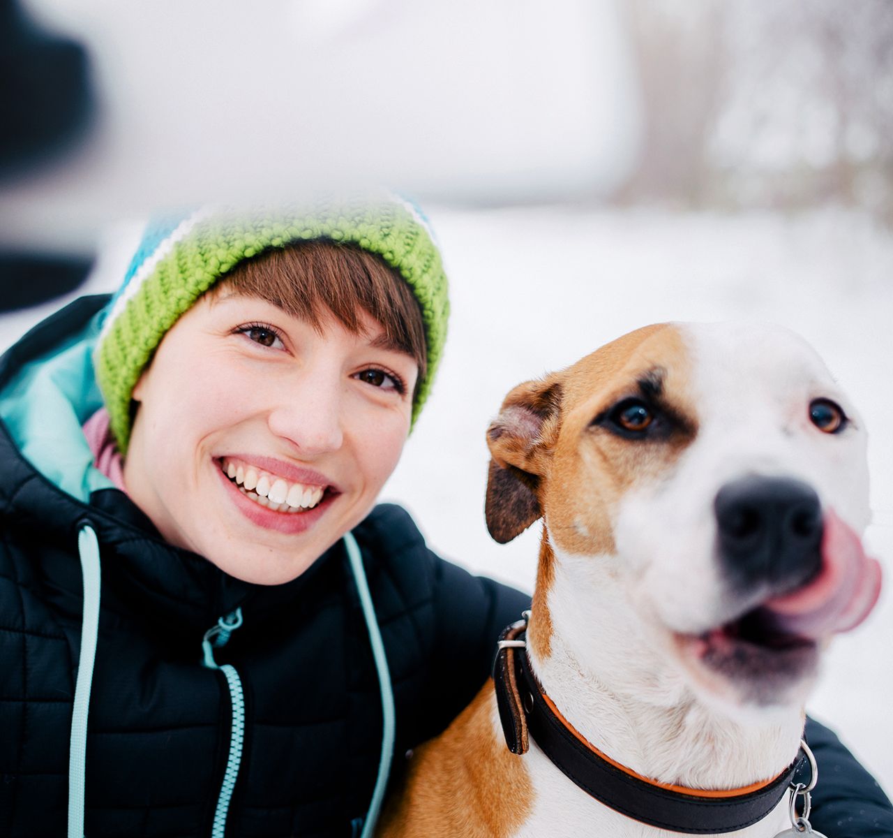 How to Include Your Pet in Holiday Cards