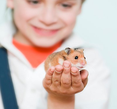 Teaching Children to Care for Small Pets
