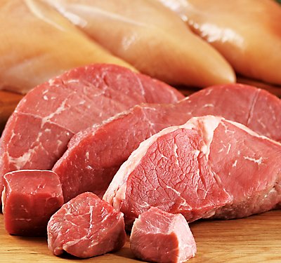 Risks and Benefits of Raw Dog Food