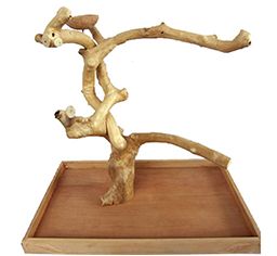 A&E Java Wood bird stands