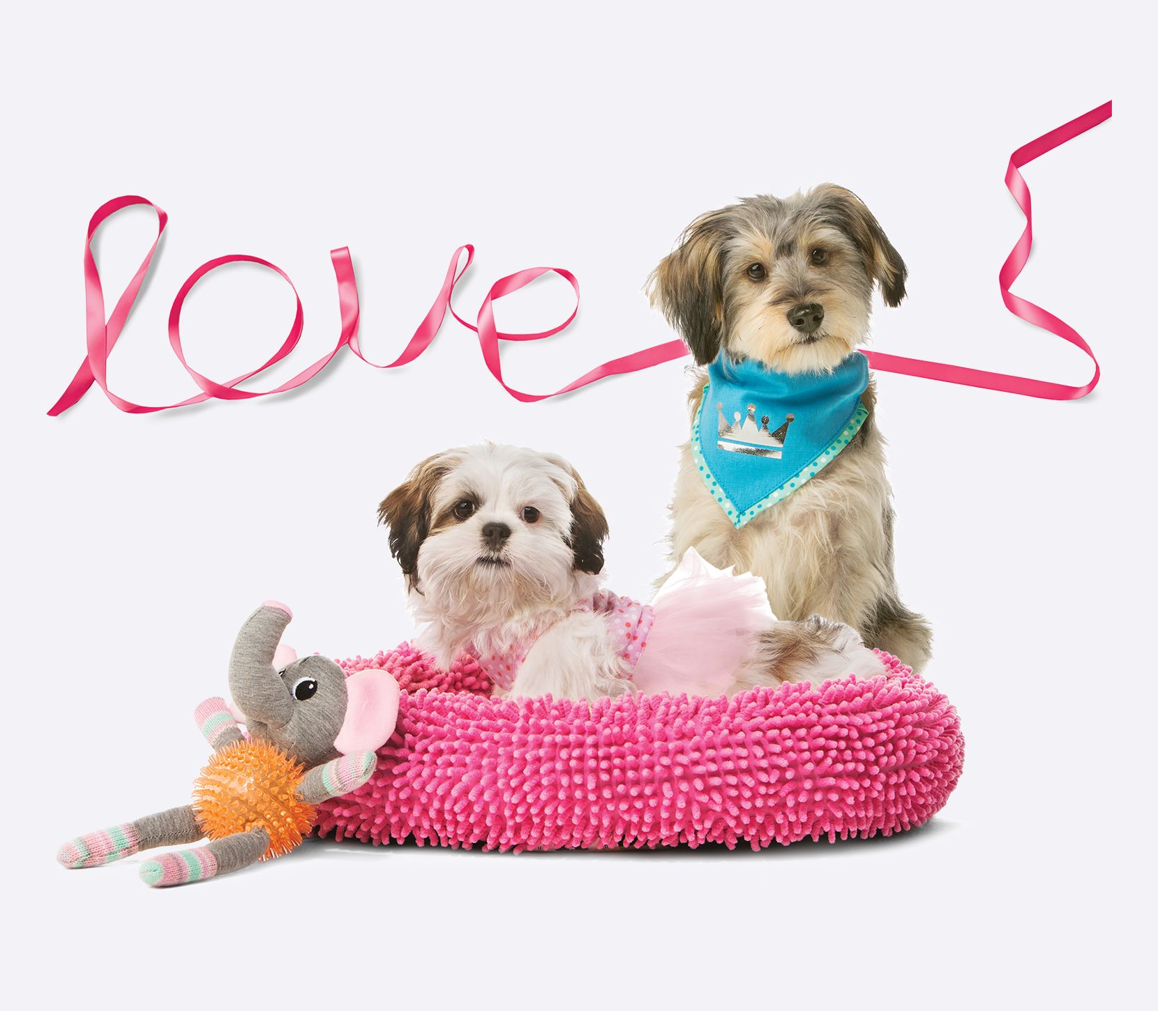 Pet Supplies, Accessories and Products Online PetSmart