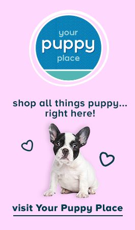 Shop all things puppy...right here! Visit Your Puppy Place.