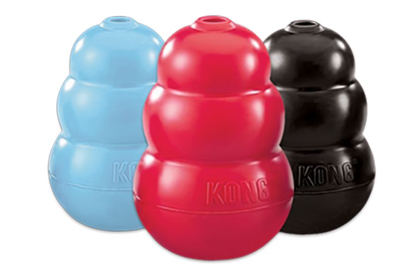 Dog KONG® Dog & Puppy Products PetSmart