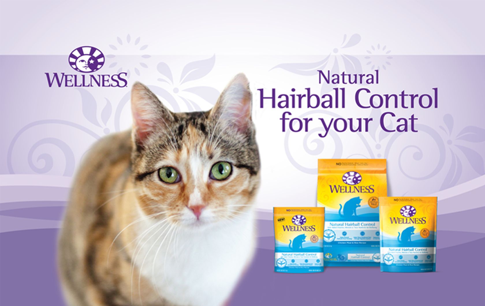 Wellness® Cat Food & Kitten Food PetSmart