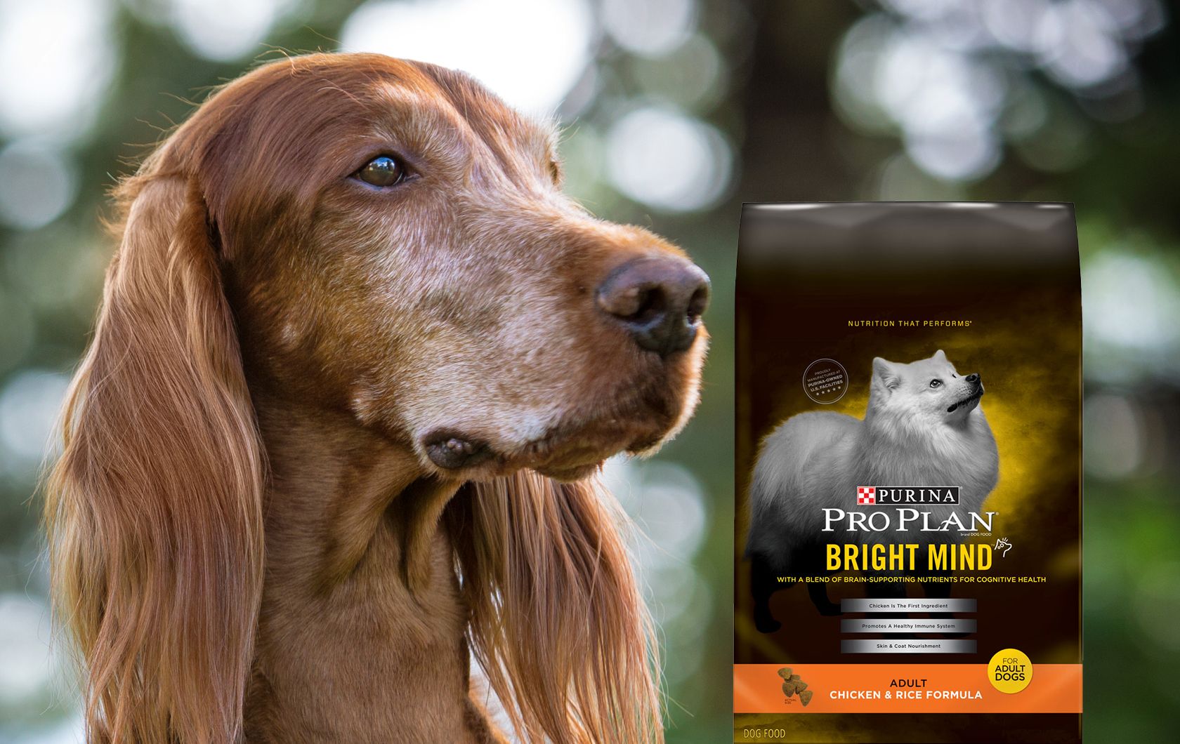 Purina® Pro Plan® Dog Food & Puppy Food PetSmart
