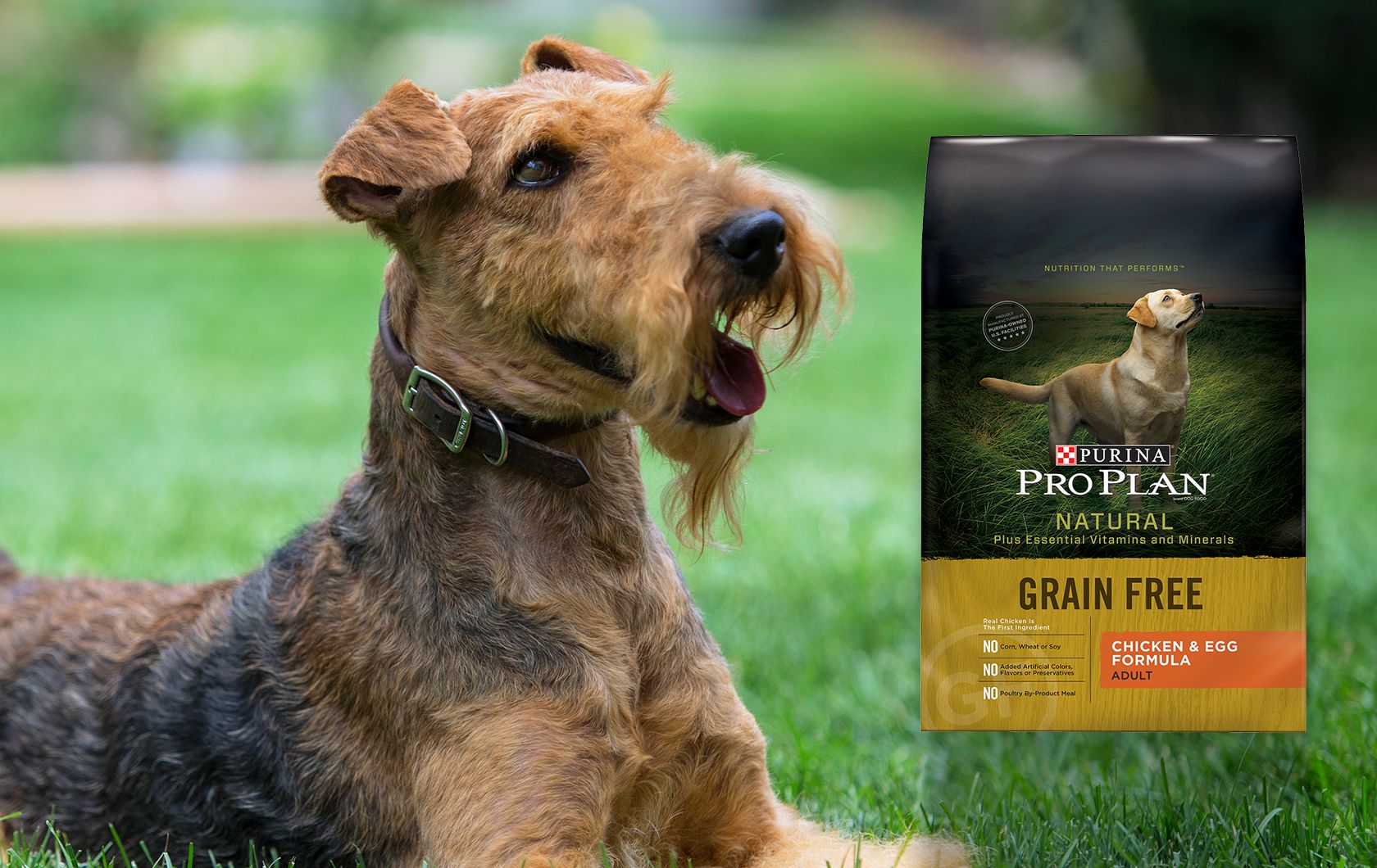 Purina® Pro Plan® Dog Food & Puppy Food PetSmart