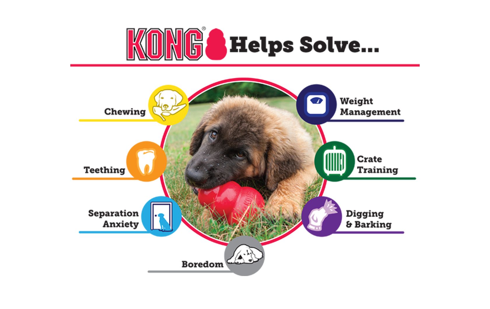 what to put inside dog kong