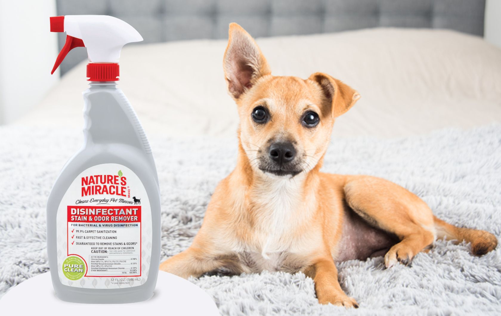 Nature's Miracle™ for Dogs Crates, Pads & Stain Removal PetSmart