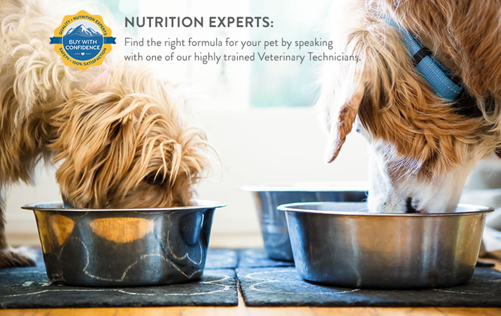 Natural Balance® Dog & Puppy Food PetSmart