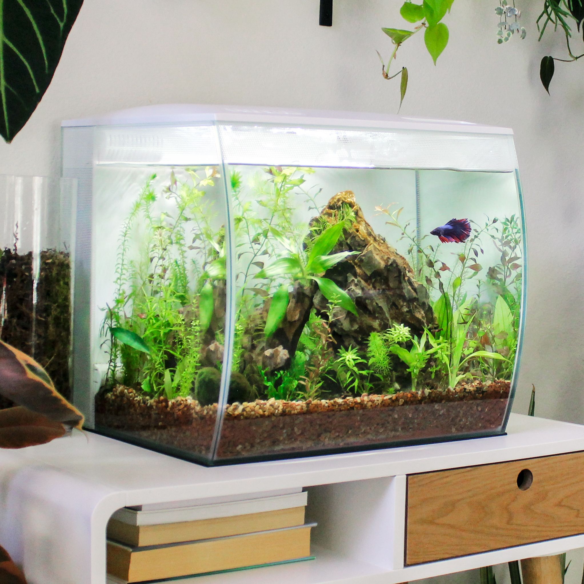 Shop_Aquariums