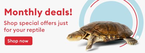 Monthly deals! Shop special offers just for your reptile