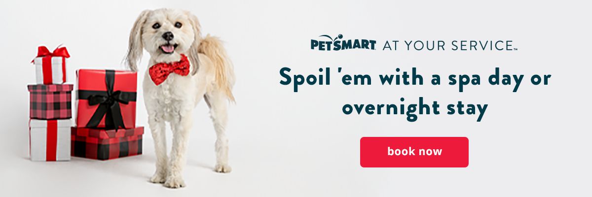 petsmart thundershirt