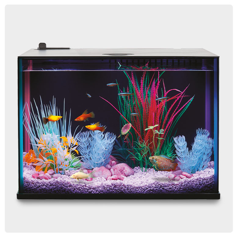 save 50% Top Fin® Dazzle Color Flow aquatic starter kits