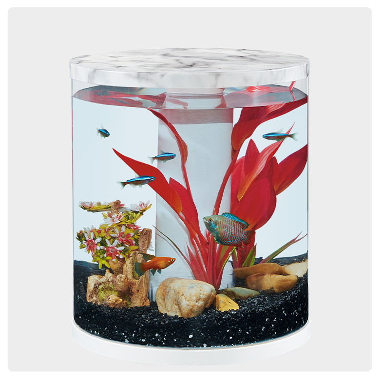 save 50% Top Fin® marble or rose gold aquarium