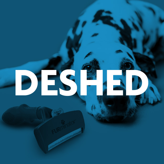 FURminator® for Cats Brushes & More PetSmart