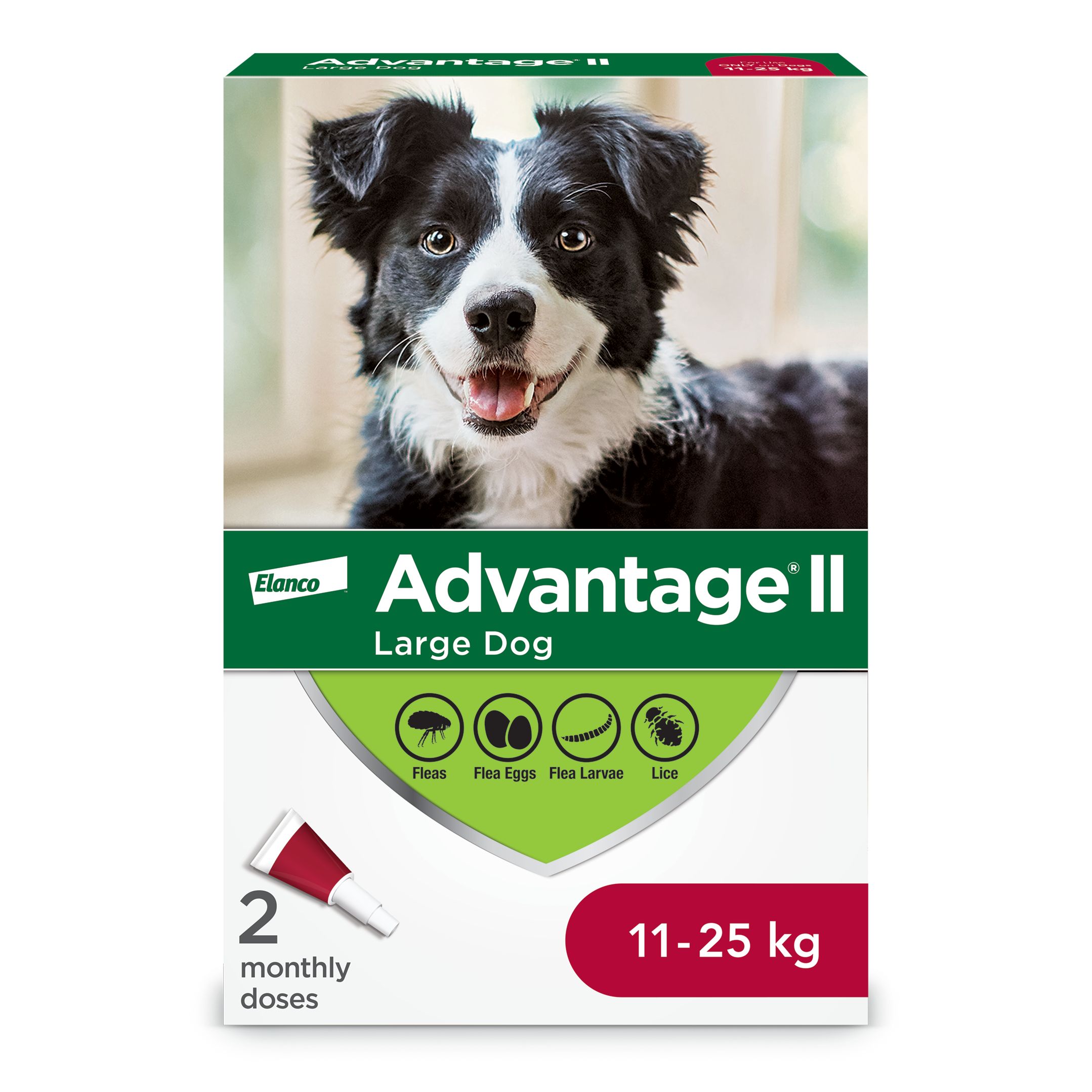 Advantage flea and hotsell tick treatment for dogs