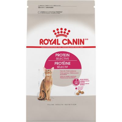 royal canin savor cat food