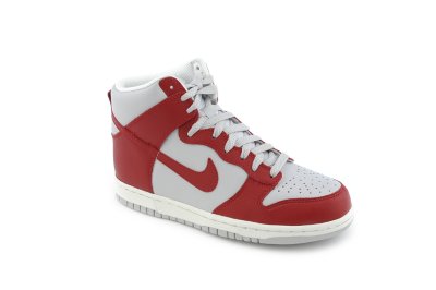 Womens Dunk High