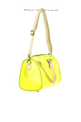 Transparent Satchel