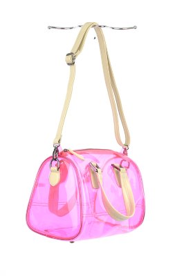 Transparent Handbag
